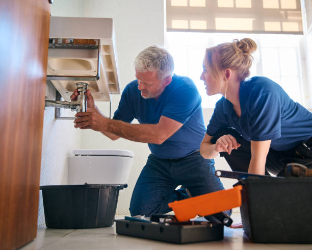 Best Toilet Repair Services  in Castle Dale, UT